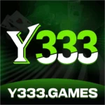 y333